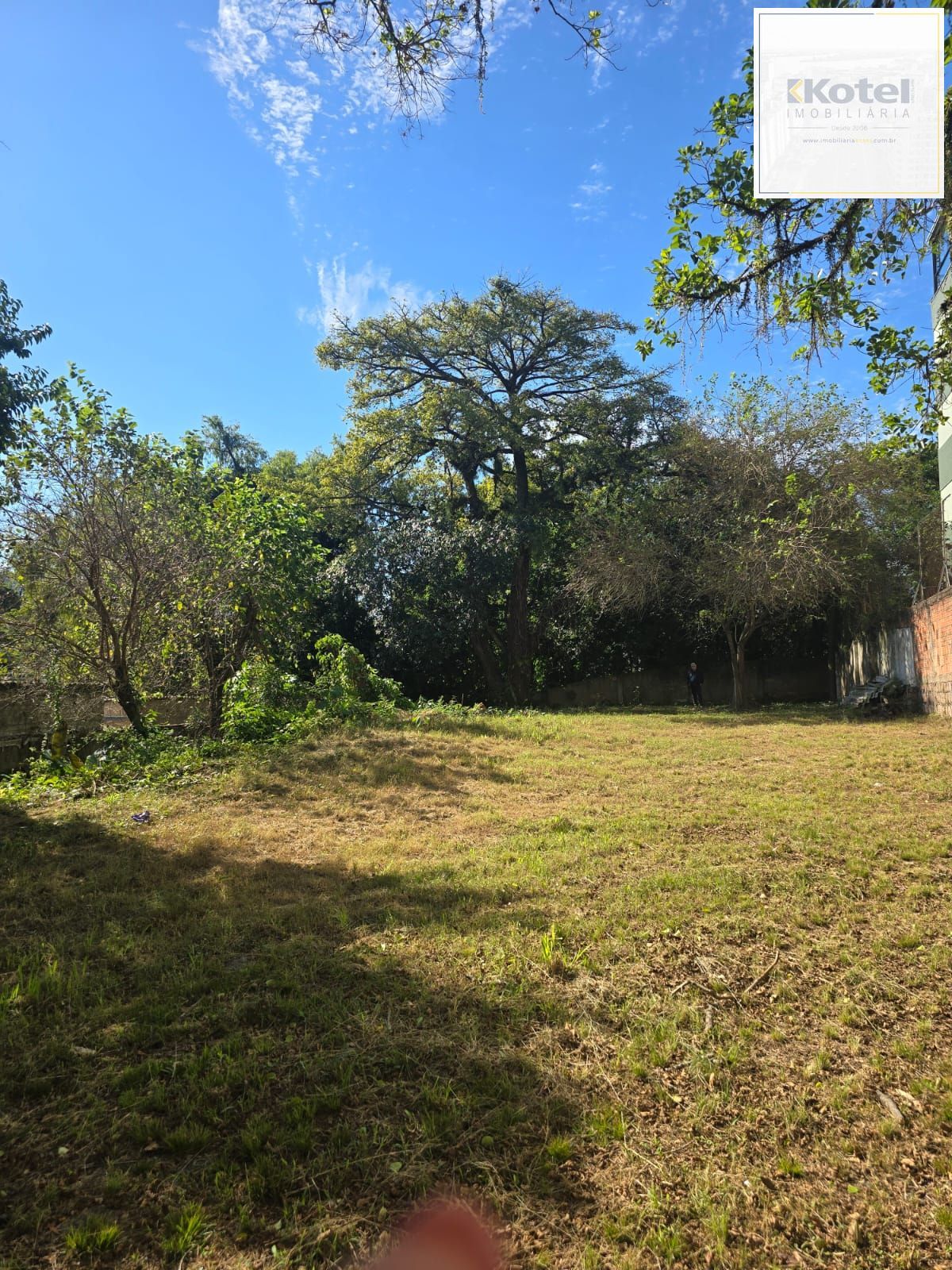 Terreno  desocupado, localizado na Rua Doutor Campos Velho — foto 5