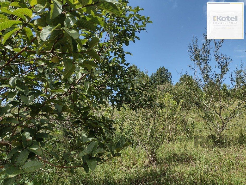 Sítio 1 quartos à venda, 210m², Albatroz - Osório — foto 4