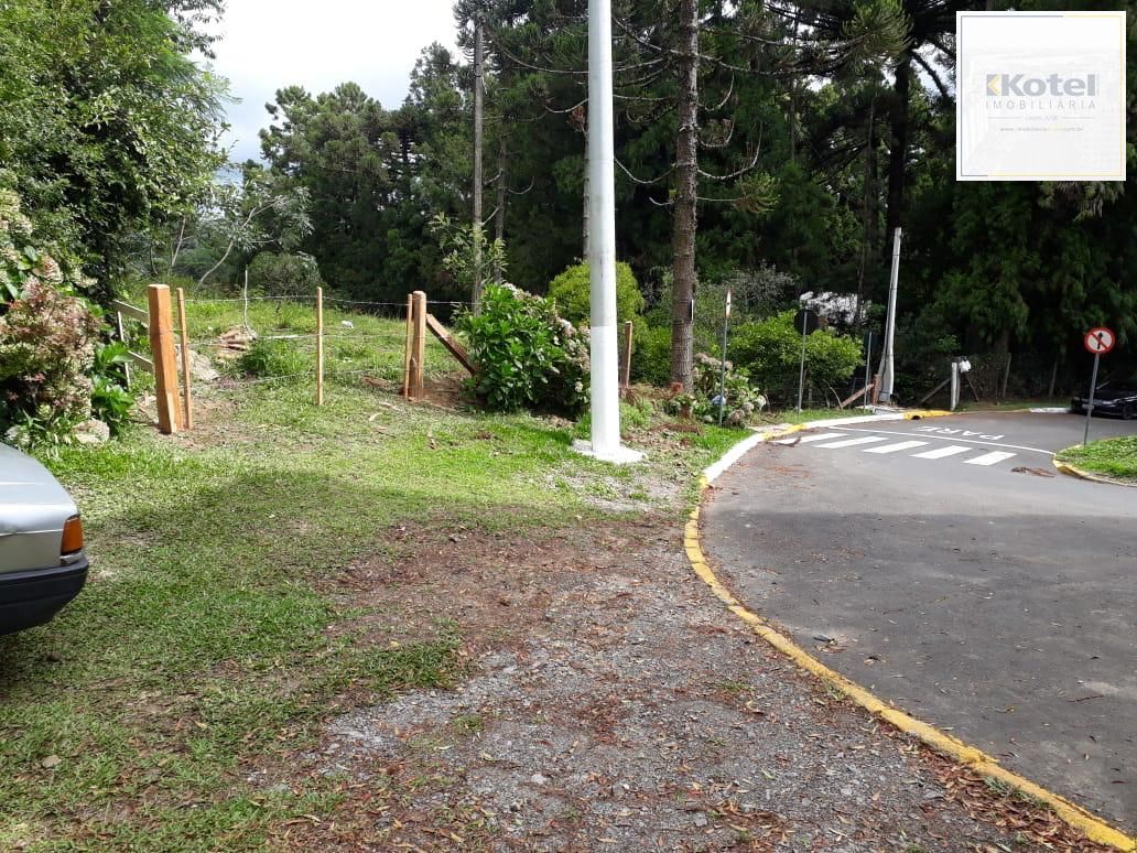 Terreno à venda, Britadeira - São Francisco de Paula — foto 3