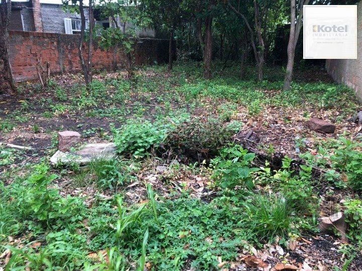 Terreno à venda, Rio Branco - Canoas