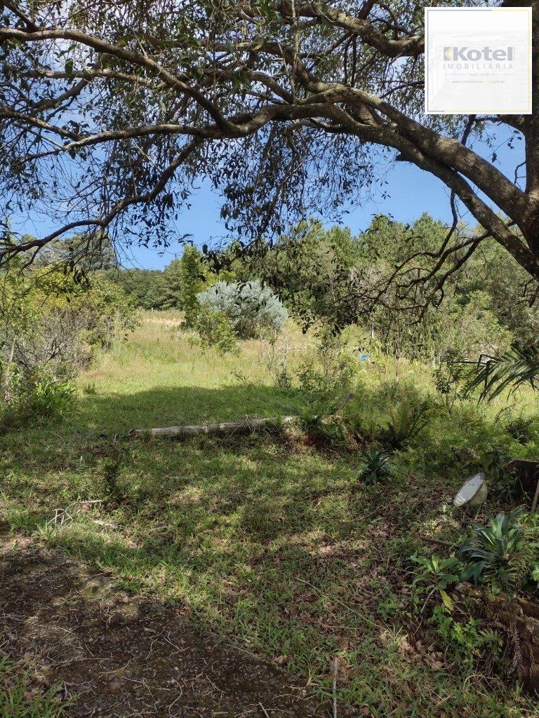 Sítio 1 quartos à venda, 210m², Albatroz - Osório — foto 3