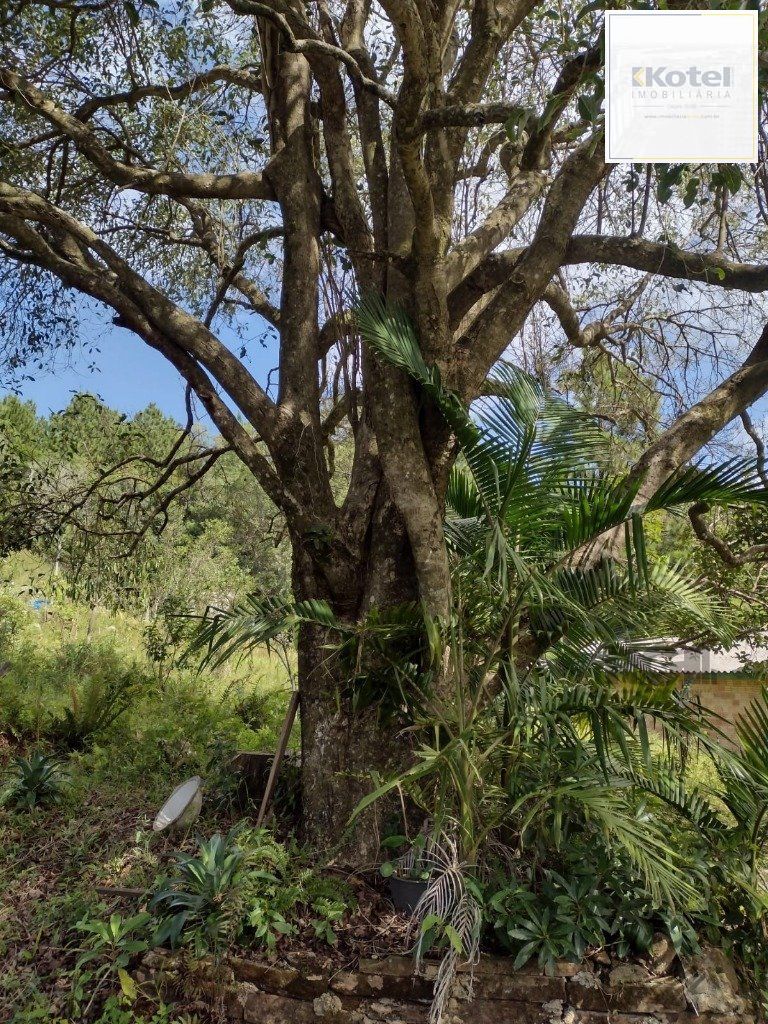 Sítio 1 quartos à venda, 210m², Albatroz - Osório — foto 5