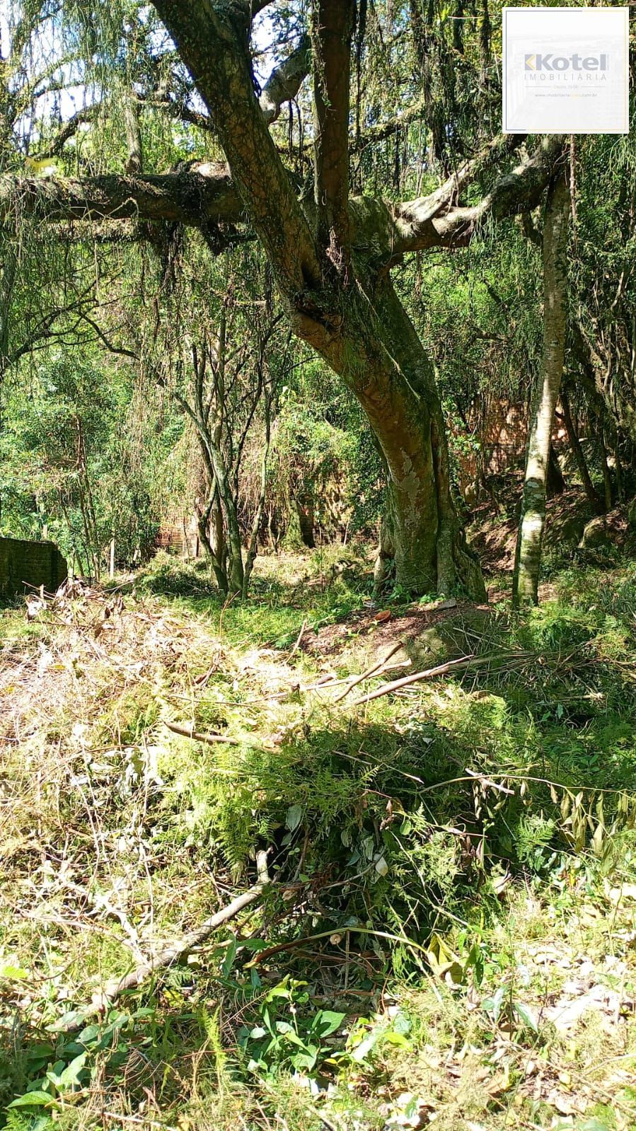 Terreno no Bairro Ipanema em Porto Alegre — foto 5