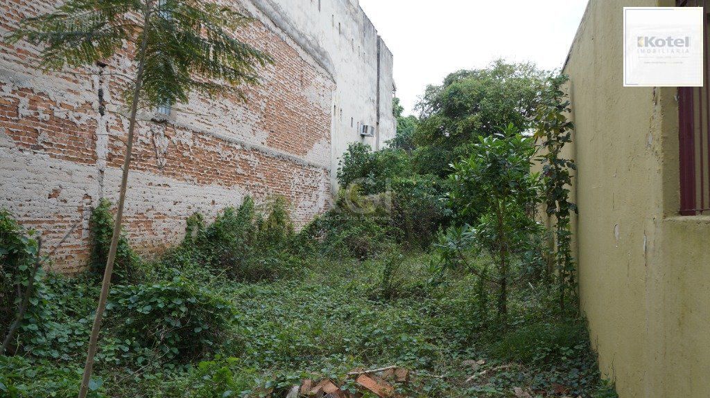 Terreno para Venda - 218m² no Bairro Floresta — foto 3