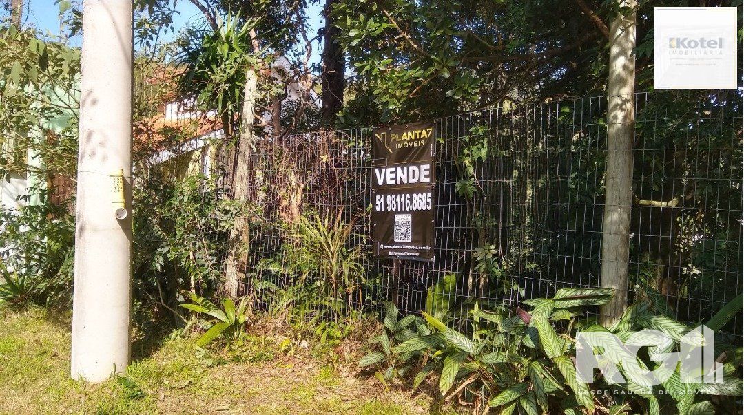 Amplo Terreno na Vila São Caetano/Teressópolis — foto 2