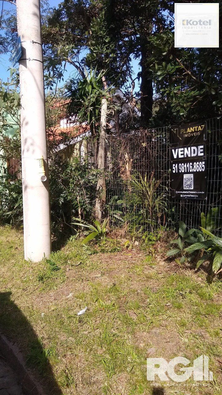 Amplo Terreno na Vila São Caetano/Teressópolis — foto 4