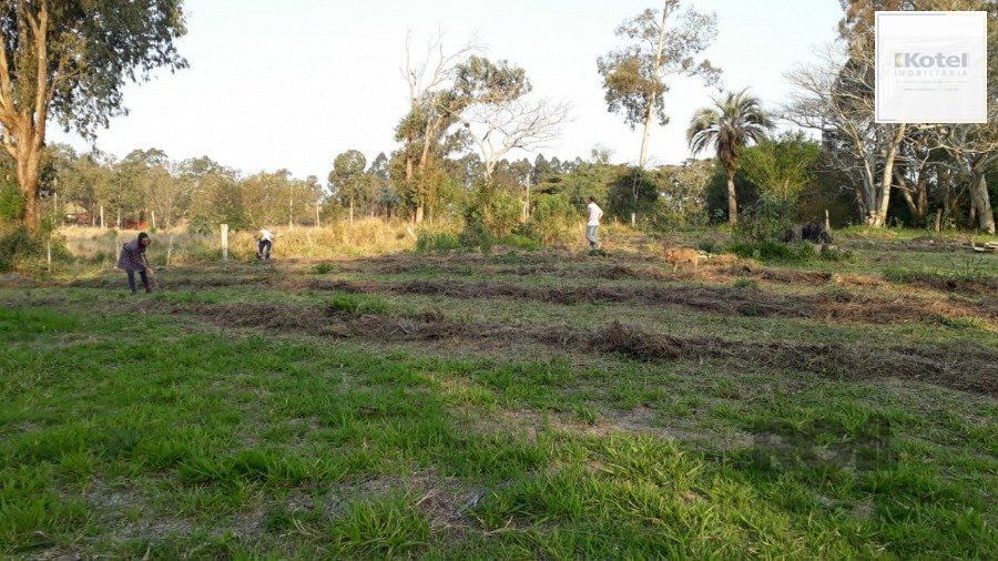 SITIO  DE LAZER COM 40.000 M2  NA ESTRADA DO VAREJÃO — foto 4
