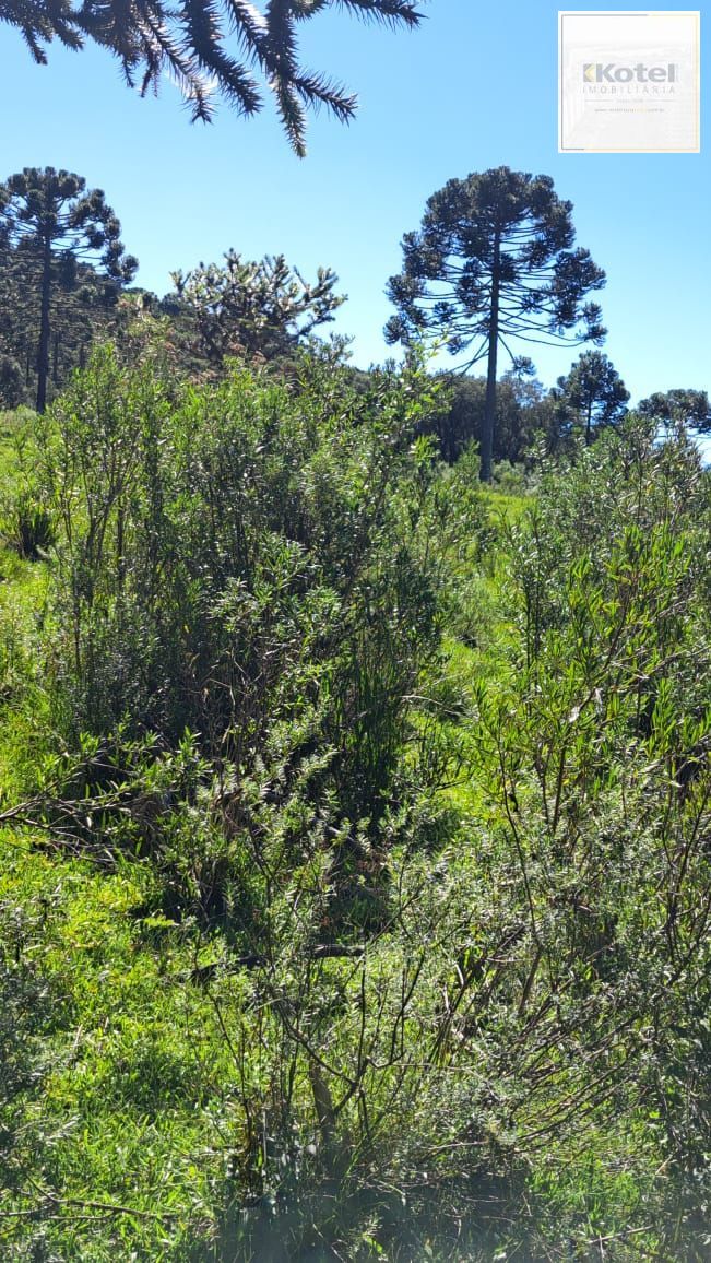 Fazenda 3 quartos à venda, 34000m², Centro - Bom Jardim da Serra — foto 2
