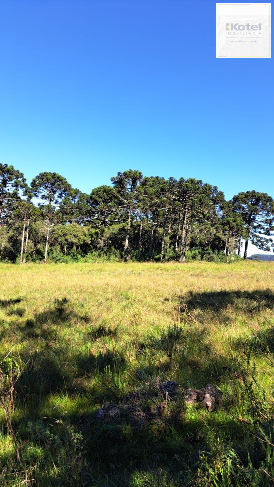 Fazenda 3 quartos à venda, 34000m², Centro - Bom Jardim da Serra — foto 4