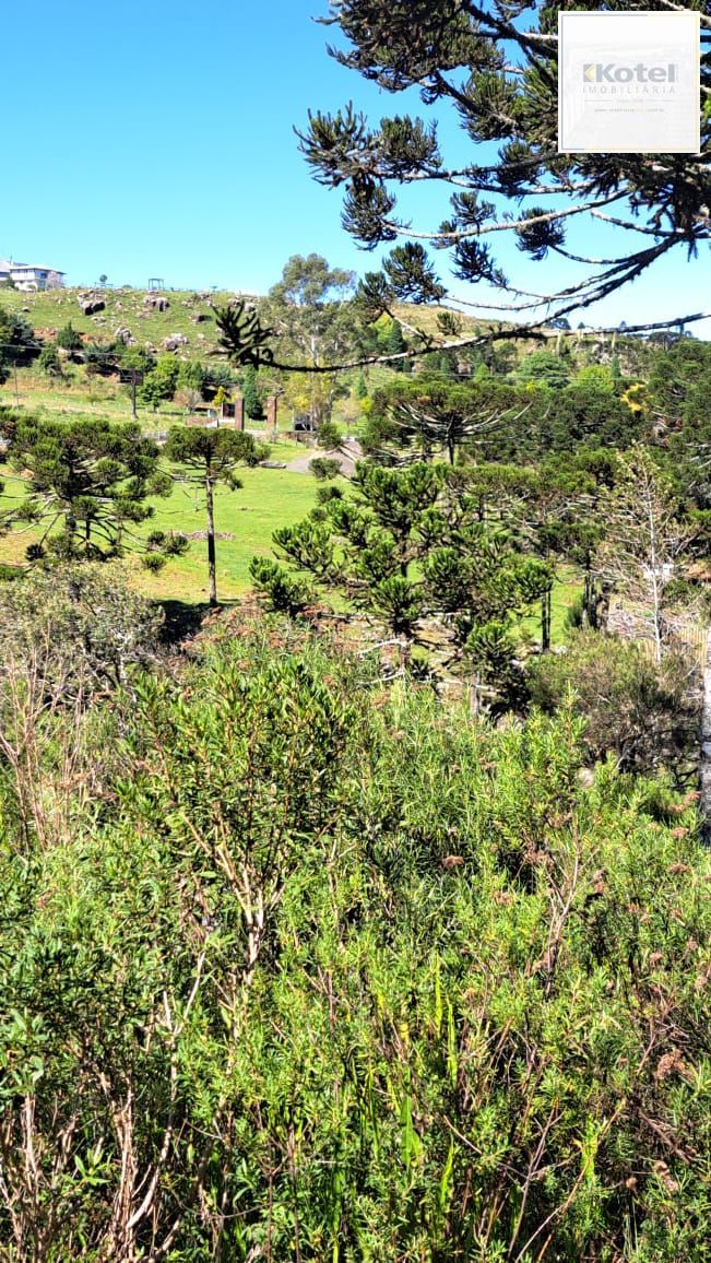 Fazenda 3 quartos à venda, 34000m², Centro - Bom Jardim da Serra — foto 1