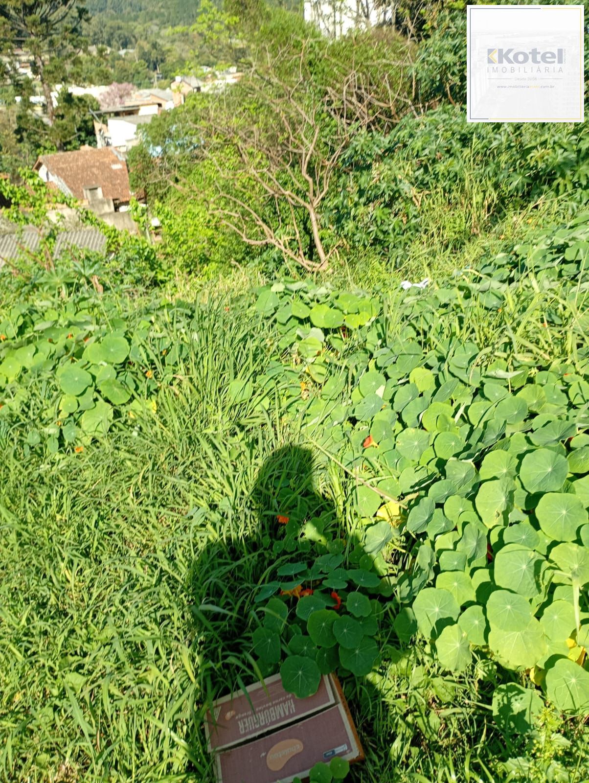 Terreno com 350m2 a duas quadras da Protásio Alves — foto 4