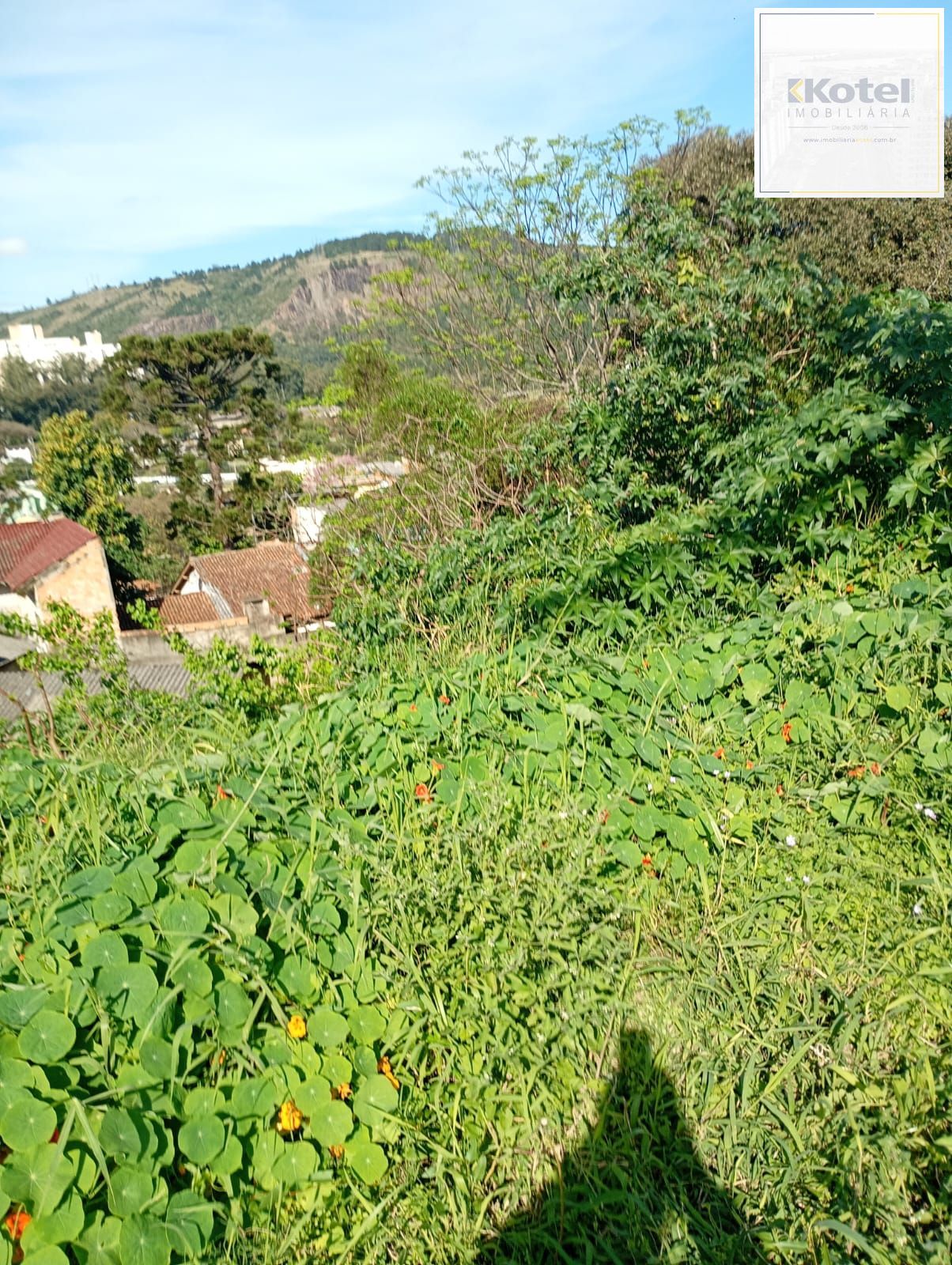 Terreno com 350m2 a duas quadras da Protásio Alves — foto 3