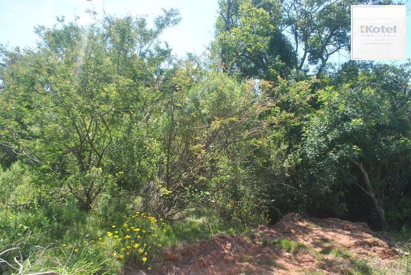 Terreno para Venda  com 930m² no bairro Espírito Santo