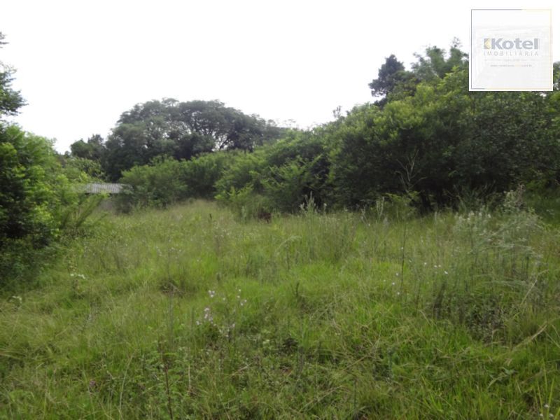 Terreno para Venda - 0m², 0 dormitórios, Lami — foto 4