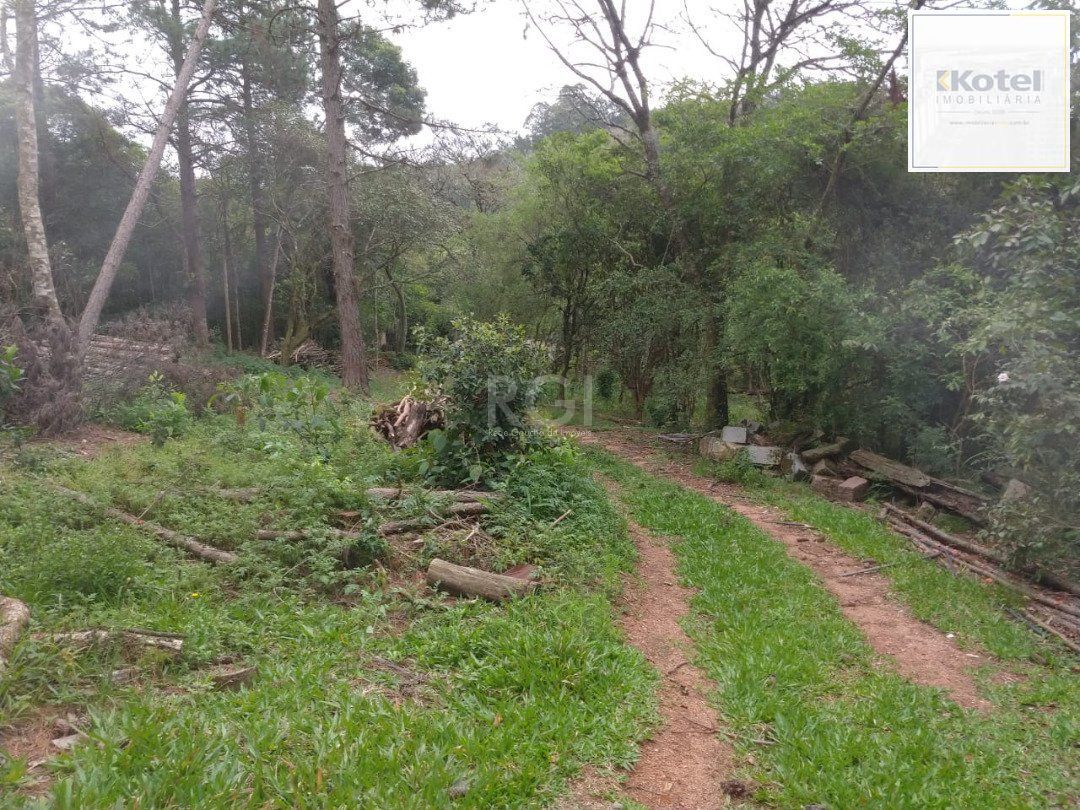 Área para Venda - 11,39ha, bairro Belém Velho — foto 5
