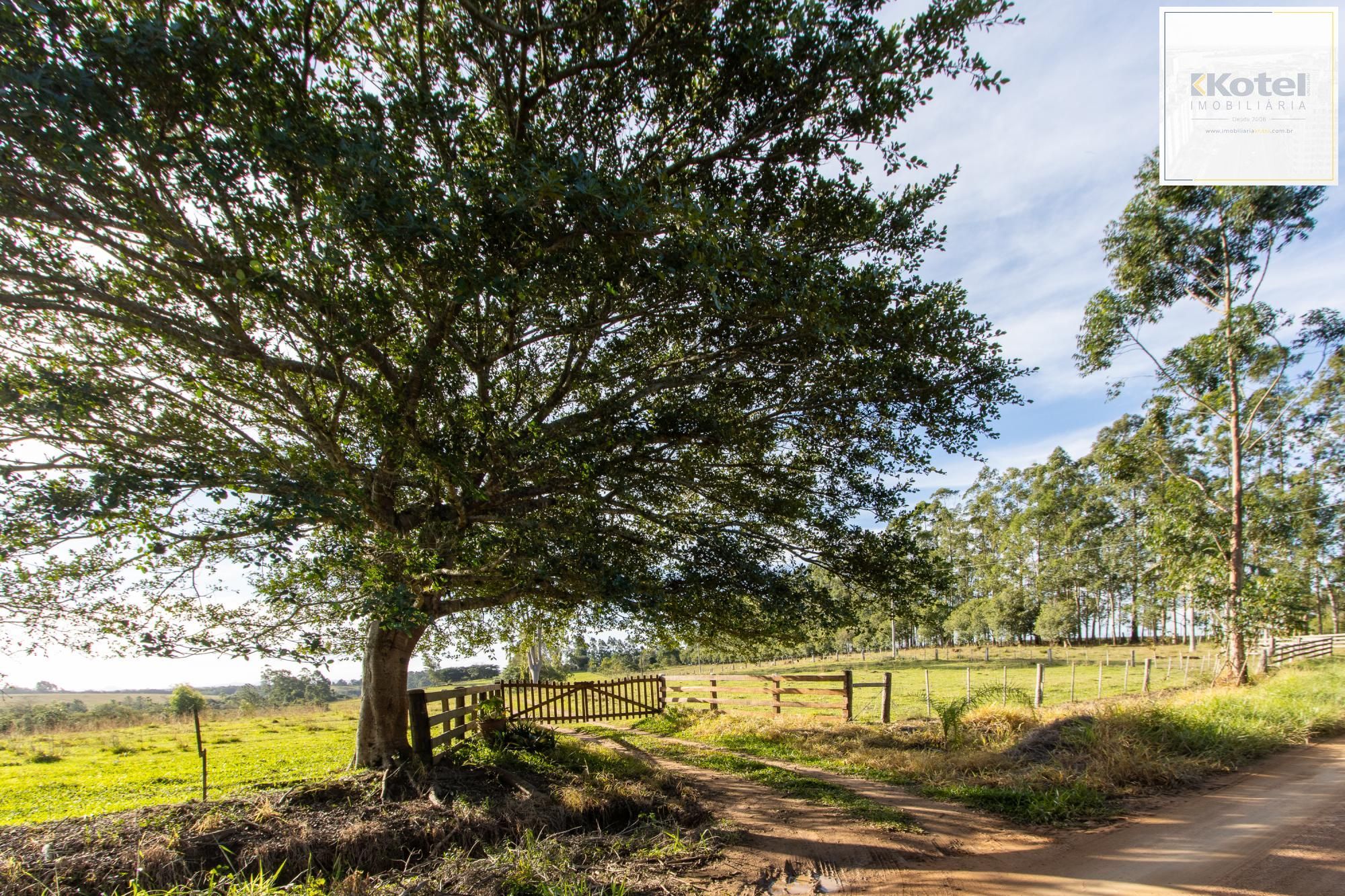Sítio 3 quartos à venda, 180m², Estância Grande - Viamão