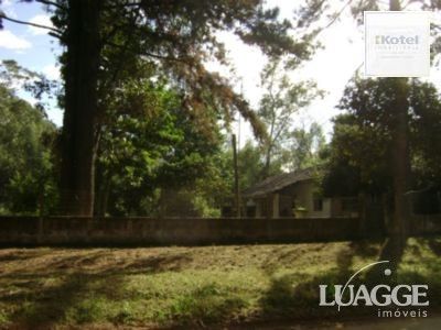 Sítio para Venda com 5000m² e 3 dormitórios no bairro Lami — foto 3