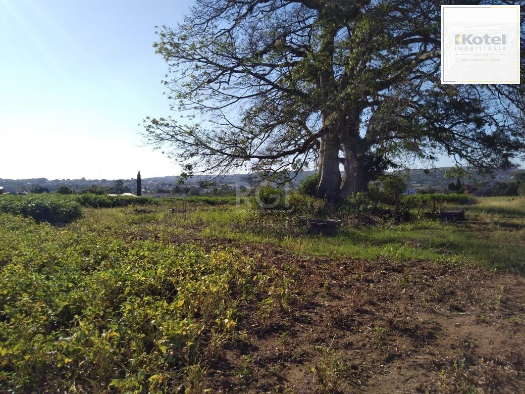 Area para Venda - 36.900m² - Campo Novo — foto 5