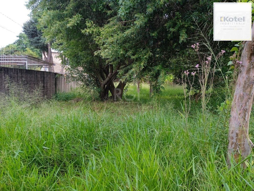 Terreno para Venda - 0m², 0 dormitórios, Tristeza — foto 4