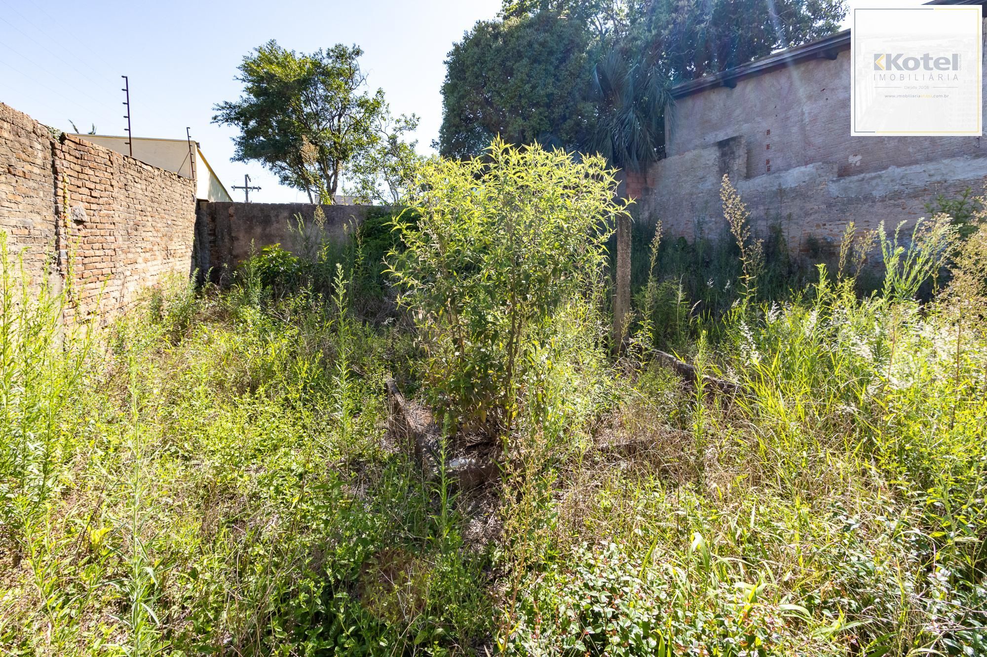 Terreno à venda, Teresópolis - Porto Alegre — foto 5