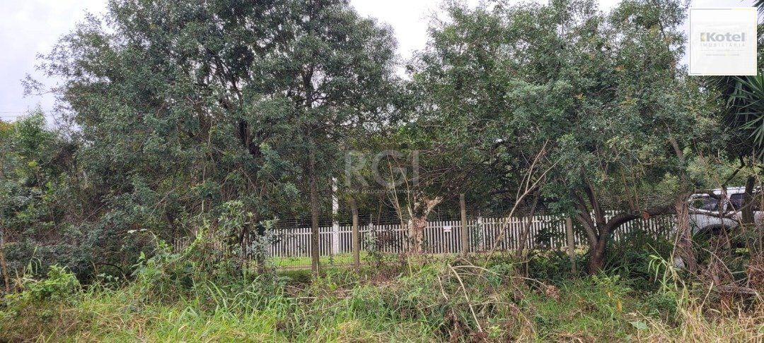 Terreno para Venda - 3.037m² no bairro Campo Novo — foto 2
