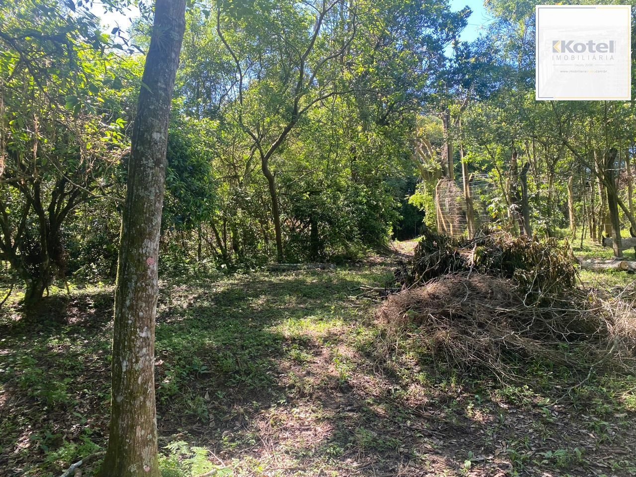 Excelente terreno! — foto 2