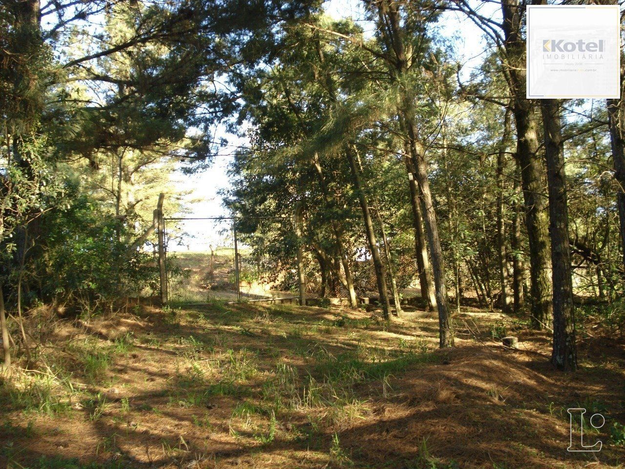 Terreno para Venda - 0m², 0 dormitórios, Vila Nova — foto 2