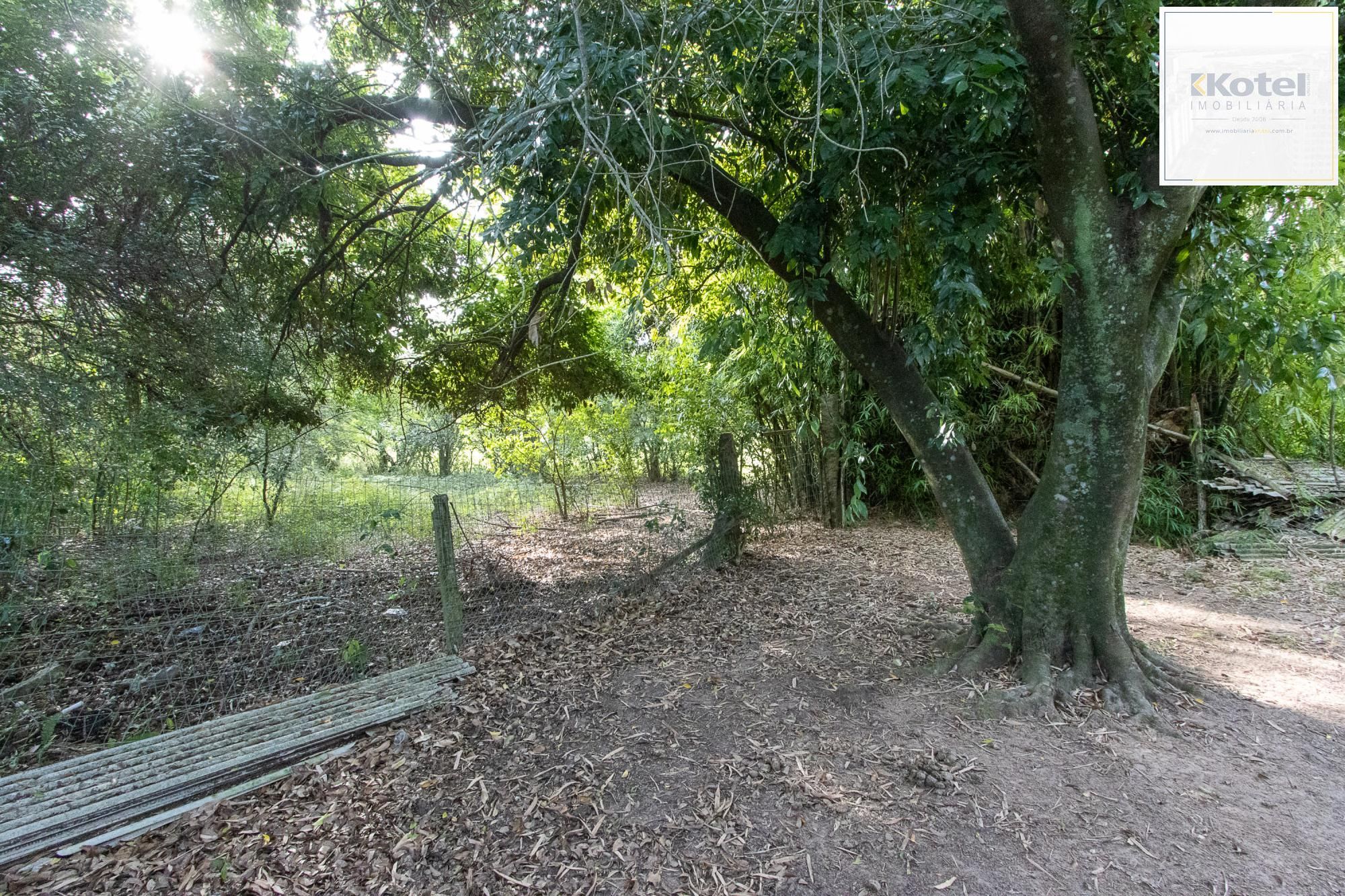 Área medindo 33.426m²! — foto 4