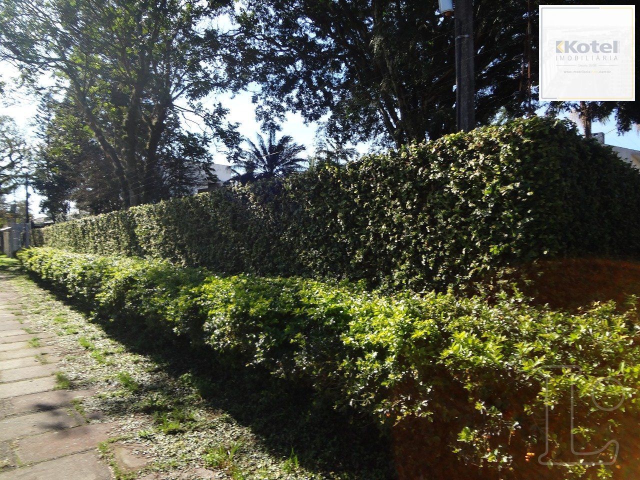 Casa para Venda - 224m², 3 dormitórios, sendo 1 suites, Ipanema — foto 4