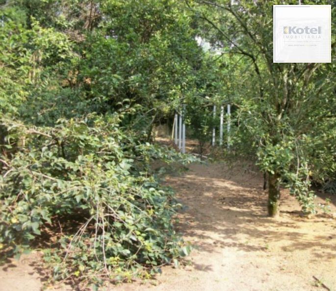 Sobrado para Venda - 800m², 3 dormitórios, Belém Novo — foto 3