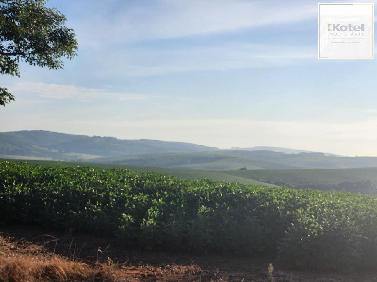 Fazenda apenas 50 quilômetros de PORTO ALEGRE — foto 3