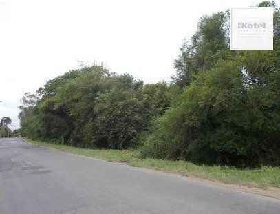 Terreno à venda, Ponta Grossa - Porto Alegre — foto 5