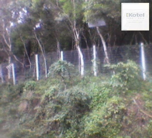Terreno para Venda - 5100m², Ponta Grossa — foto 2