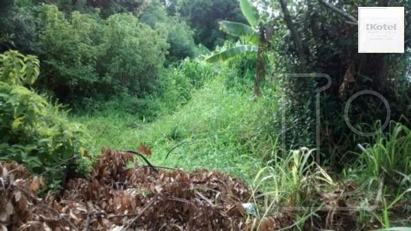 Terreno para Venda - 0m², 0 dormitórios, Vila Nova