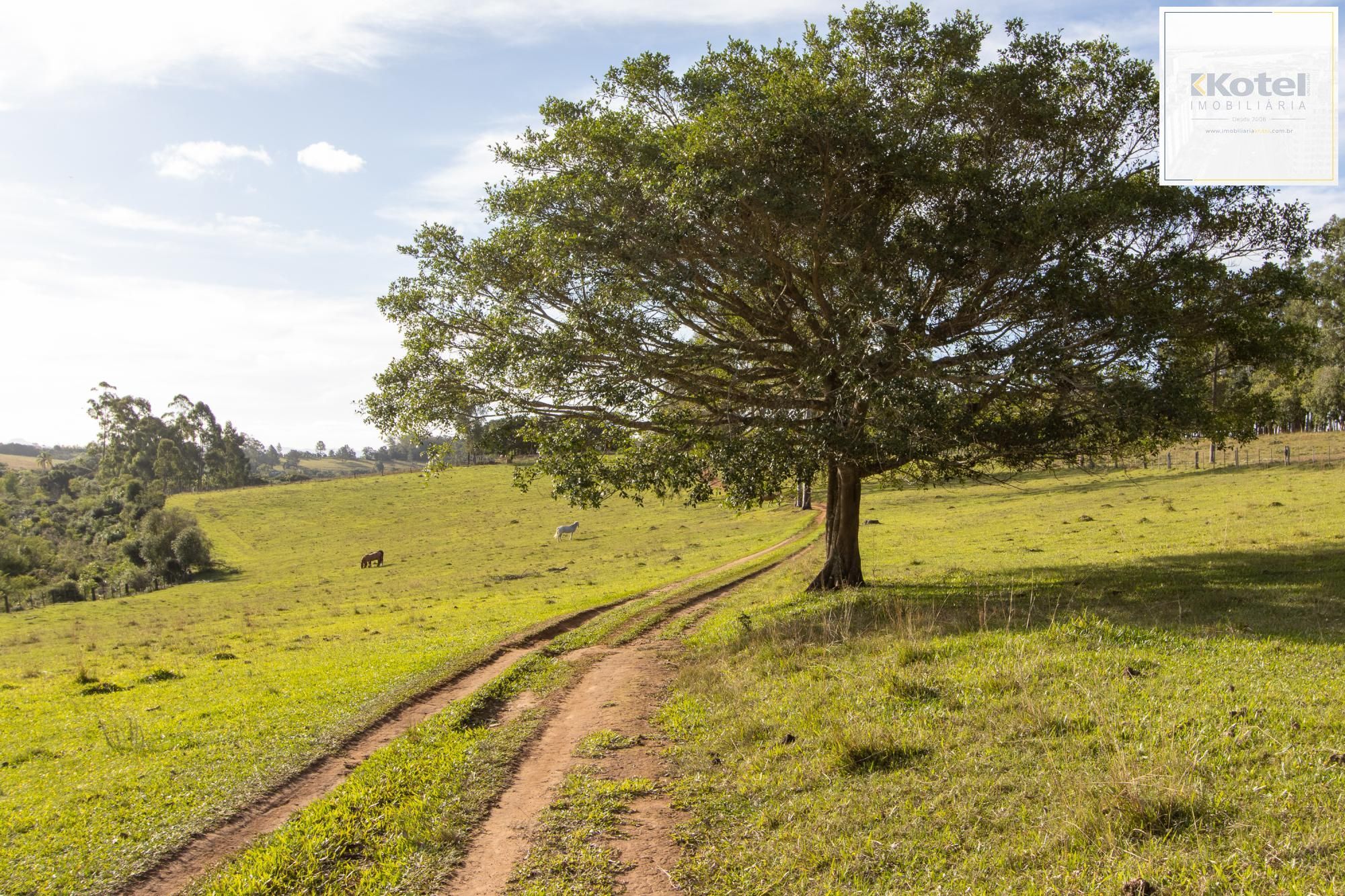 Sítio 3 quartos à venda, 180m², Estância Grande - Viamão