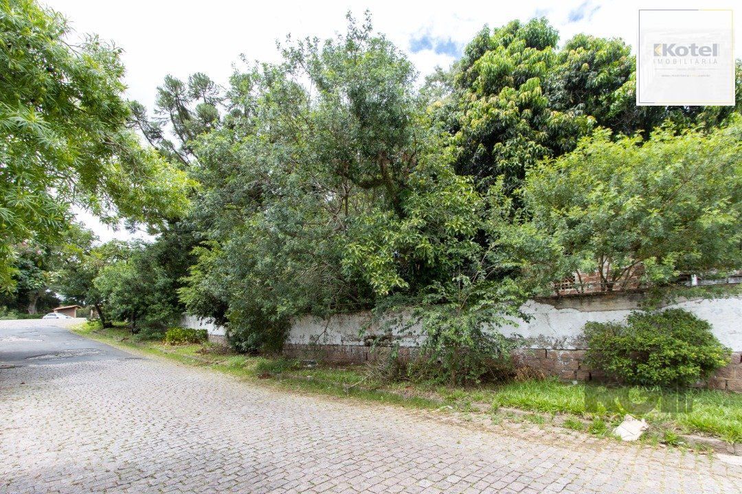 Terreno, 363.78 m², em Vila Conceição, em região elevada e livre de inundações