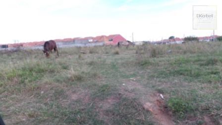 Terreno para Venda - 150m² - Aberta Dos Morros — foto 5
