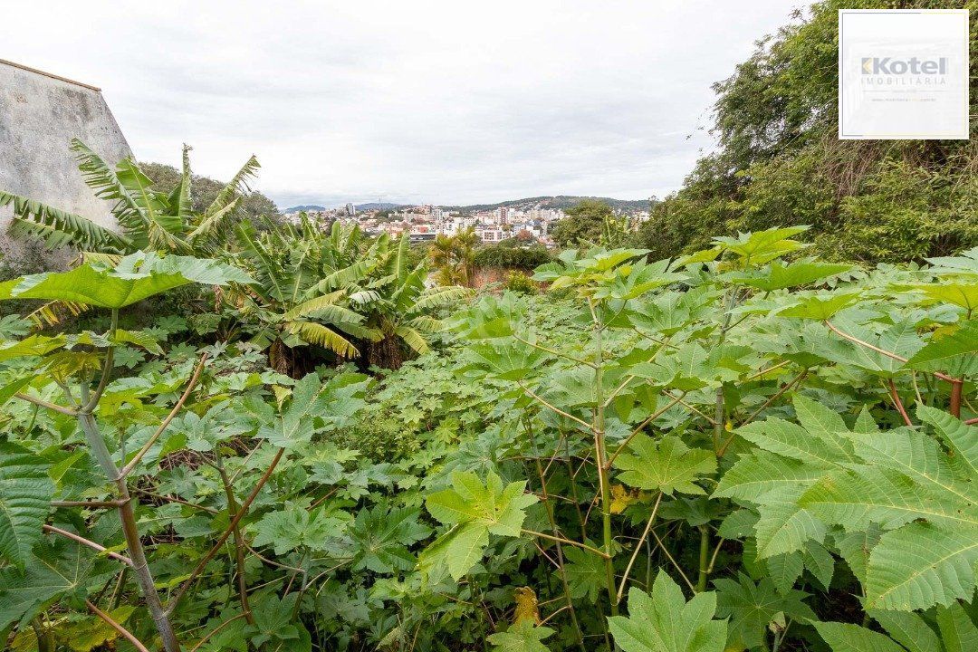 Terreno para Venda - 0m², 0 dormitórios, Vila Assunção — foto 5