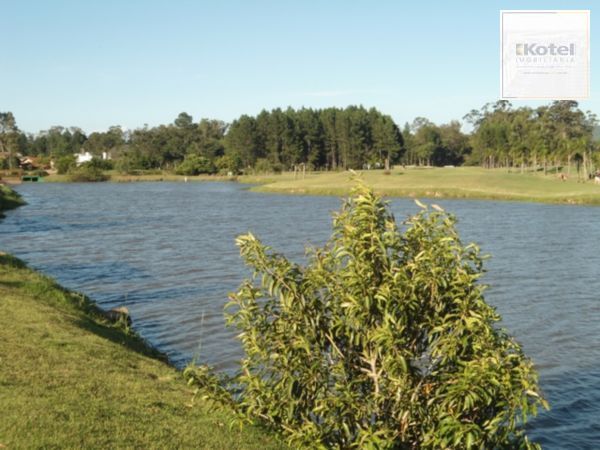 Terreno à venda, Terraville - Porto Alegre