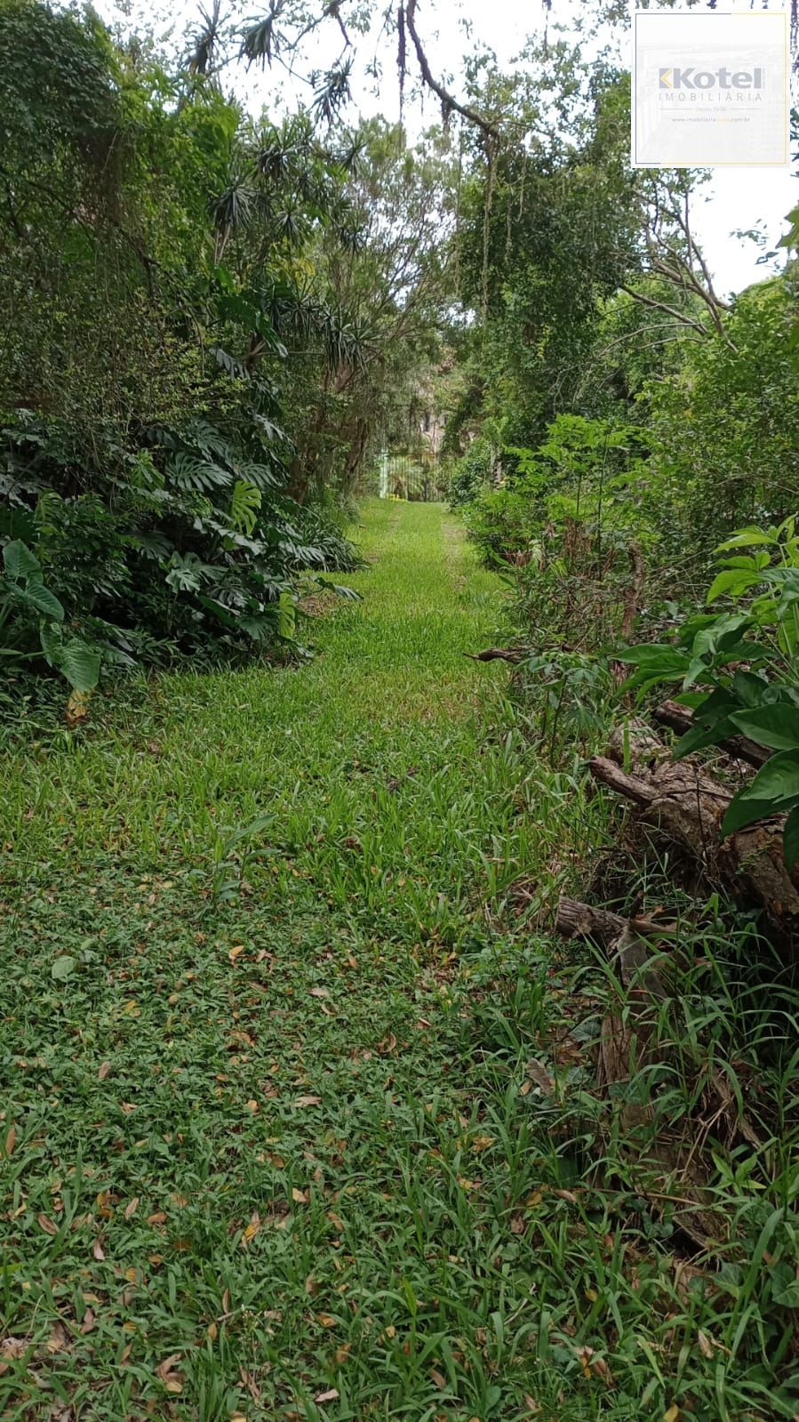 Excelente Terreno no Cristal — foto 2