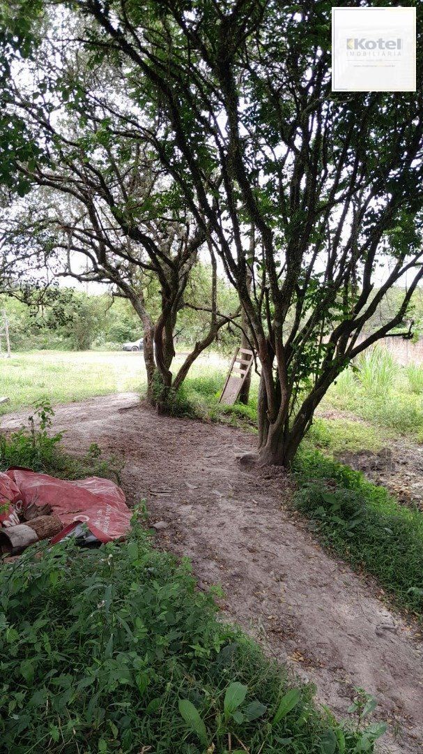 Terreno com 1.000m² , dimensões de 20x50, — foto 4
