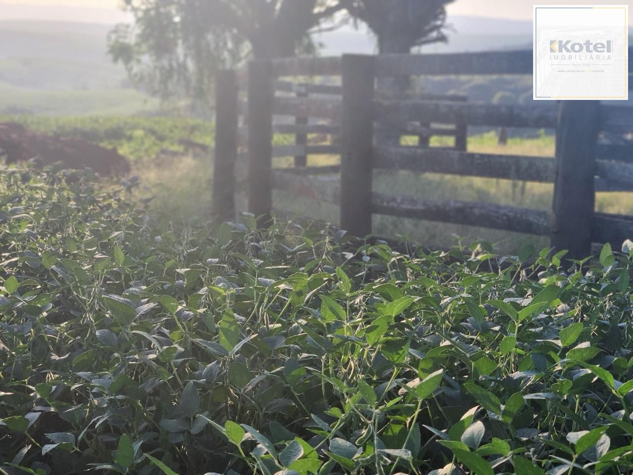 Fazenda apenas 50 quilômetros de PORTO ALEGRE — foto 4