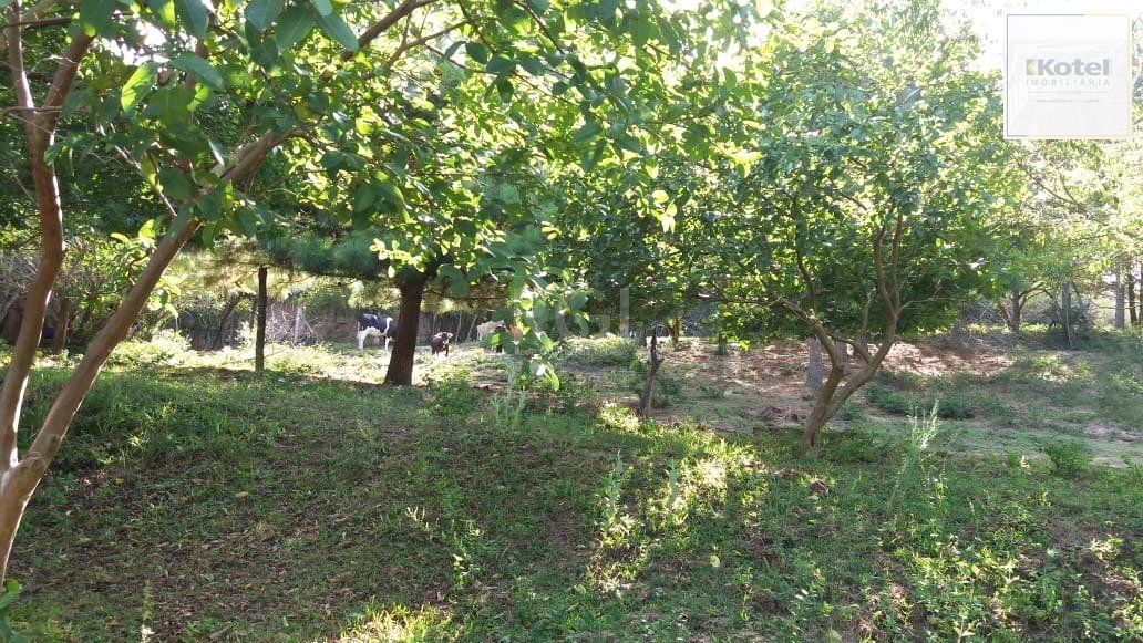 Terreno para Venda - 0m², 0 dormitórios, Boa Vista do Sul