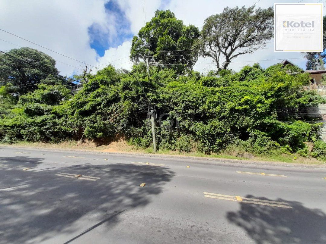 Terreno para Venda - 201m² - Vila Conceição — foto 4