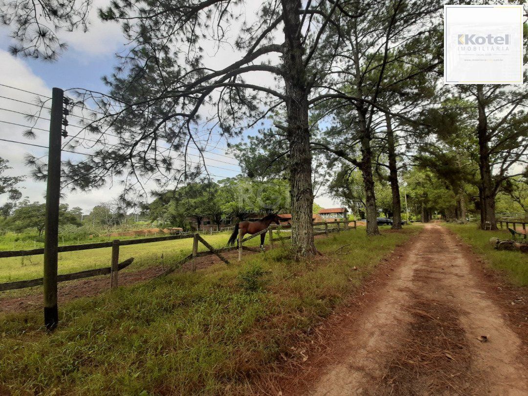 Sítio para Venda - 120217m², 0 dormitórios, Campo Novo — foto 3