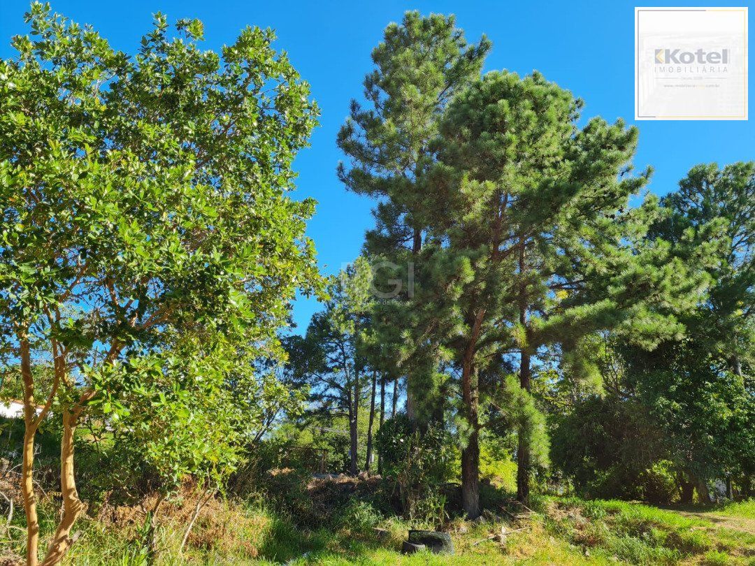 Terreno para Venda - 0m², 0 dormitórios, Vila Nova — foto 4