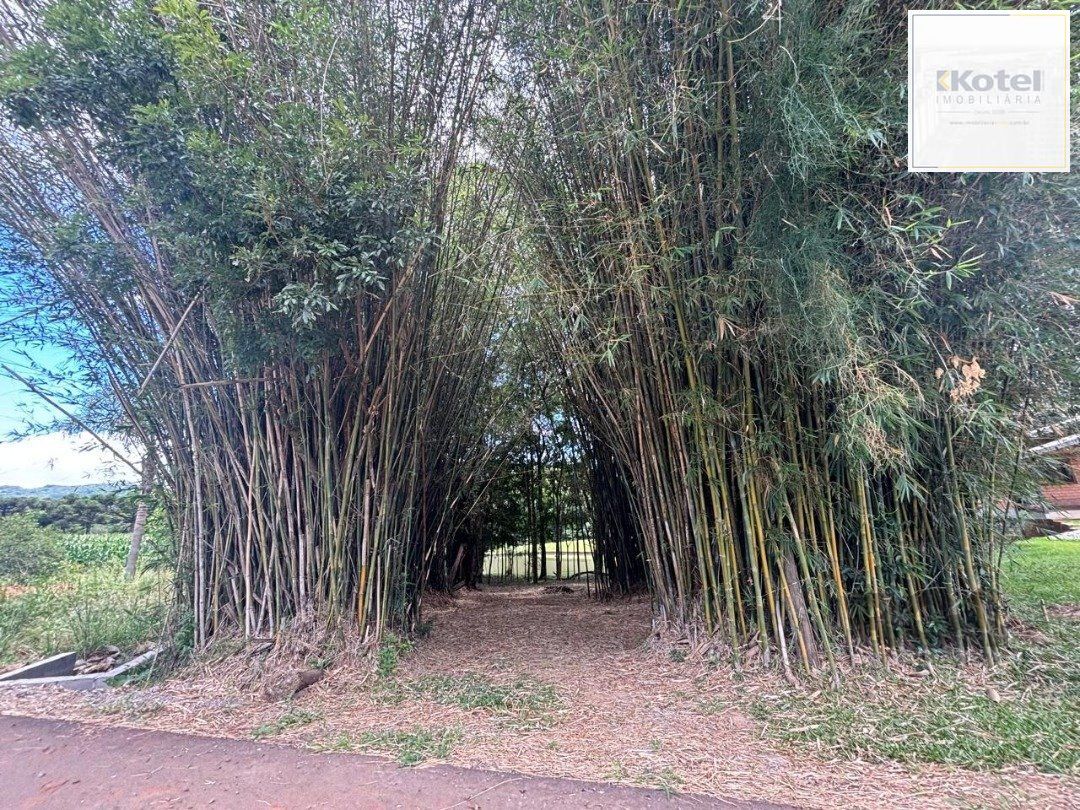 Lindo Sitio 5,4 ha a 7km do Lago Negro — foto 4