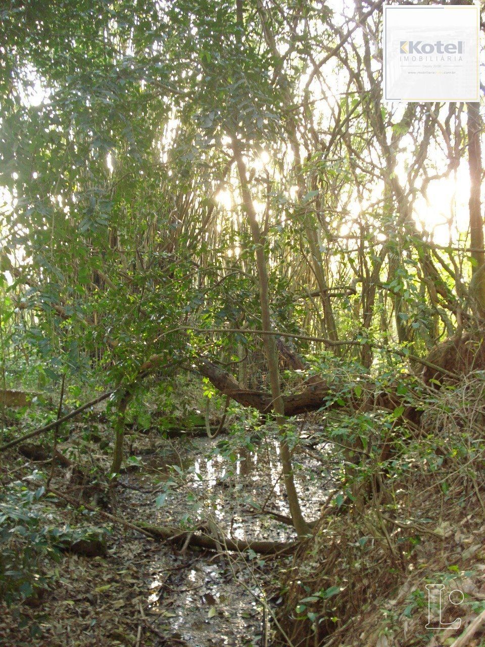 Terreno para Venda - 0m², 0 dormitórios, Vila Nova — foto 4