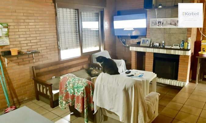 Casa 2 dormitórios Centro Tramandai — foto 4