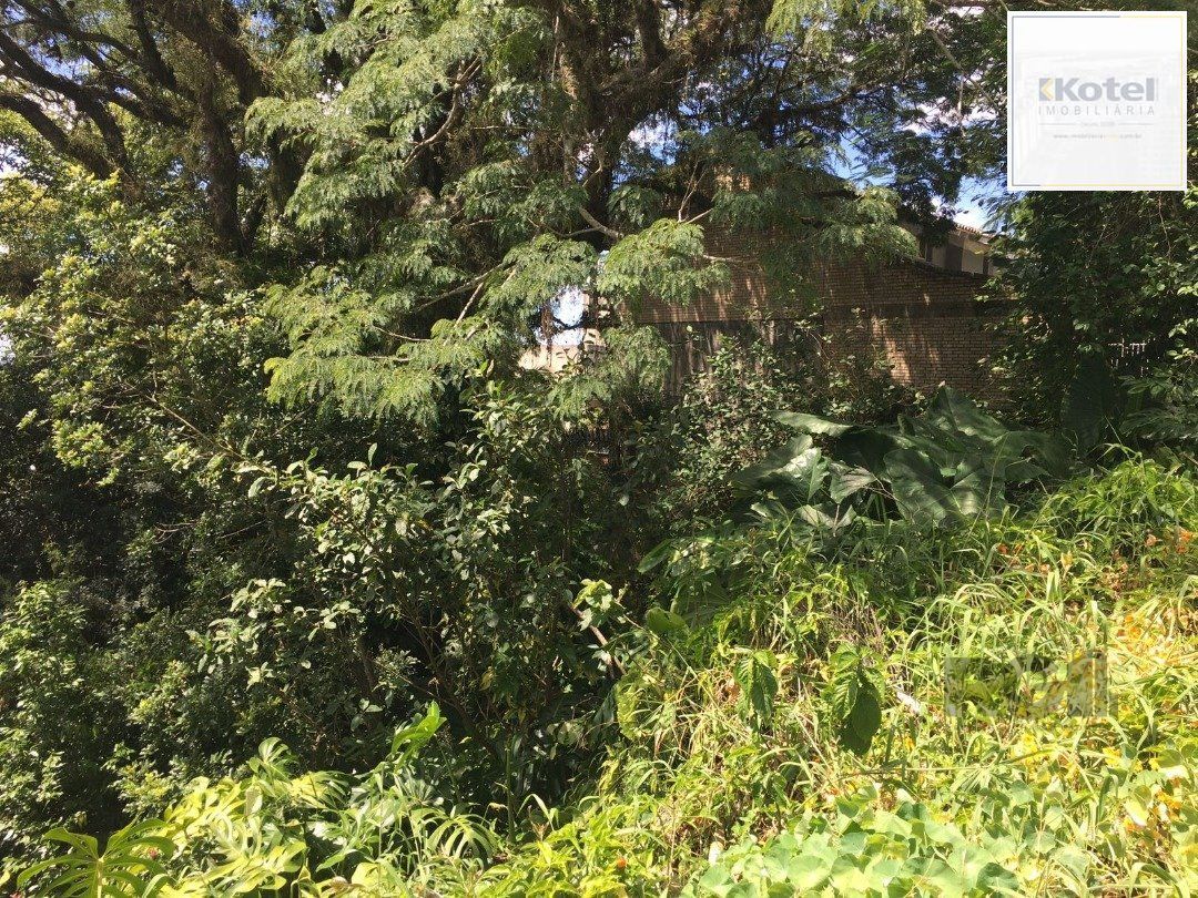 Terreno Setimo Ceu. — foto 4